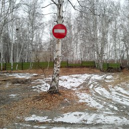  Dmitry, , 55  -  21  2017