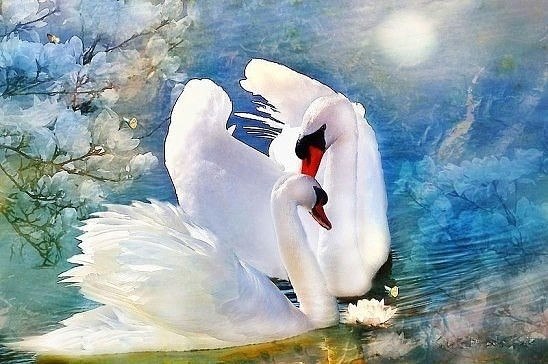 Ты спрашиваешь, кто ты для меня, Я не могу ответить односложно. Ты – искорка для моего огня, Который ...