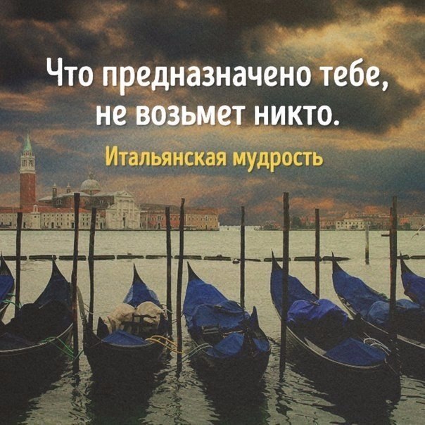  | ,  - 24  2017  03:46