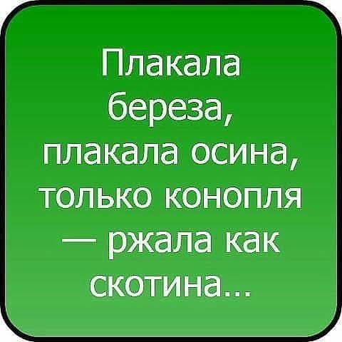 Gohamen - 5  2018  20:07