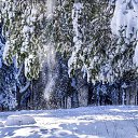 ���� �����, ������������ - ��������� 20 ������� 2017 � ������ ���� ����������