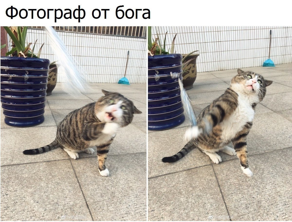  - 3  2018  02:47