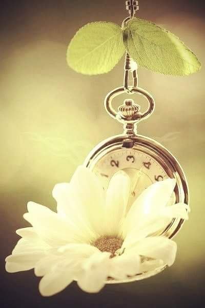 .          ,       . ...