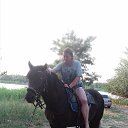  , --, 49  -  6  2018    