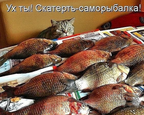 ��������� �������� �����)).���������� :)#������� #������� - 2
