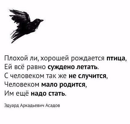 , , , ,  - 3  2017  03:45