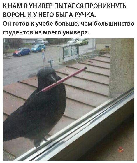   - 27  2018  02:41