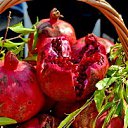  ,  -  19  2017   2018  һ