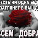  , , 63  -  22  2018   , ,  л