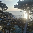 ���� Paha, ����������� - ��������� 3 ����� 2018 � ������ �������