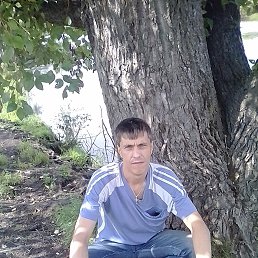 , 41, -