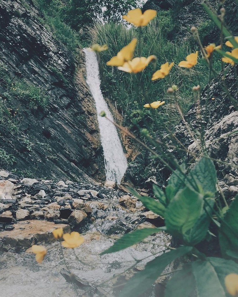   - 7