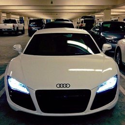 ������, ���������, 40 ���