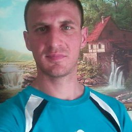 , 41 , 