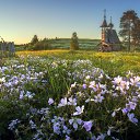 ���� ������, ����, 52 ���� - ��������� 29 ��� 2018 � ������ ��������