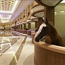 ���� Aleks, ����� ������� - ��������� 9 ���� 2018 � ������ �HORSES�