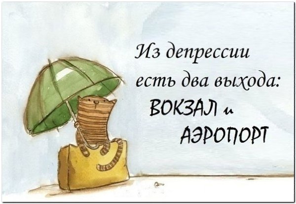 Доброго времени всем! Травка зеленеет, Солнышко блестит... Немного юмора для тех кто планирует ... - 2