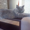 ���� ��������, ���������, 51 ��� - ��������� 27 ������� 2017 � ������ ���� ����������