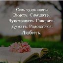 ���� ����, ������, 39 ��� - ��������� 9 ������� 2018 � ������ ���� ����������