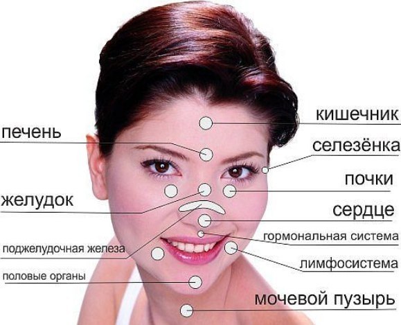 Прыщи-болезни внутренних органов. Каким образом определить прыщи и их связь с внутренними болезнями? ...