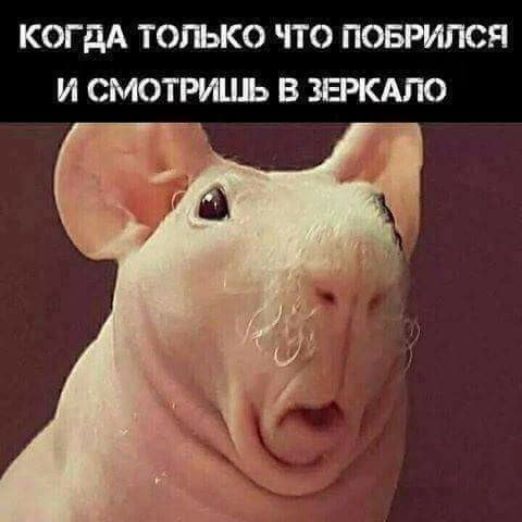      ...))))).# - 6