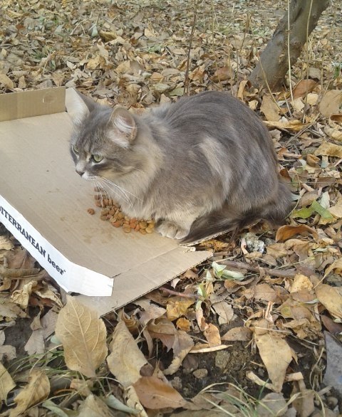 #_.  .            ... ...