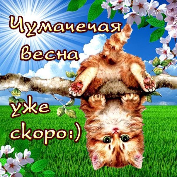   !