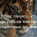 ���� �������� �����, ������, 44 ���� - ��������� 11 ������ 2018 � ������ ���� ����������