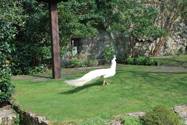 .    /Amberley Castle.  - Amberley Castle  ... - 34