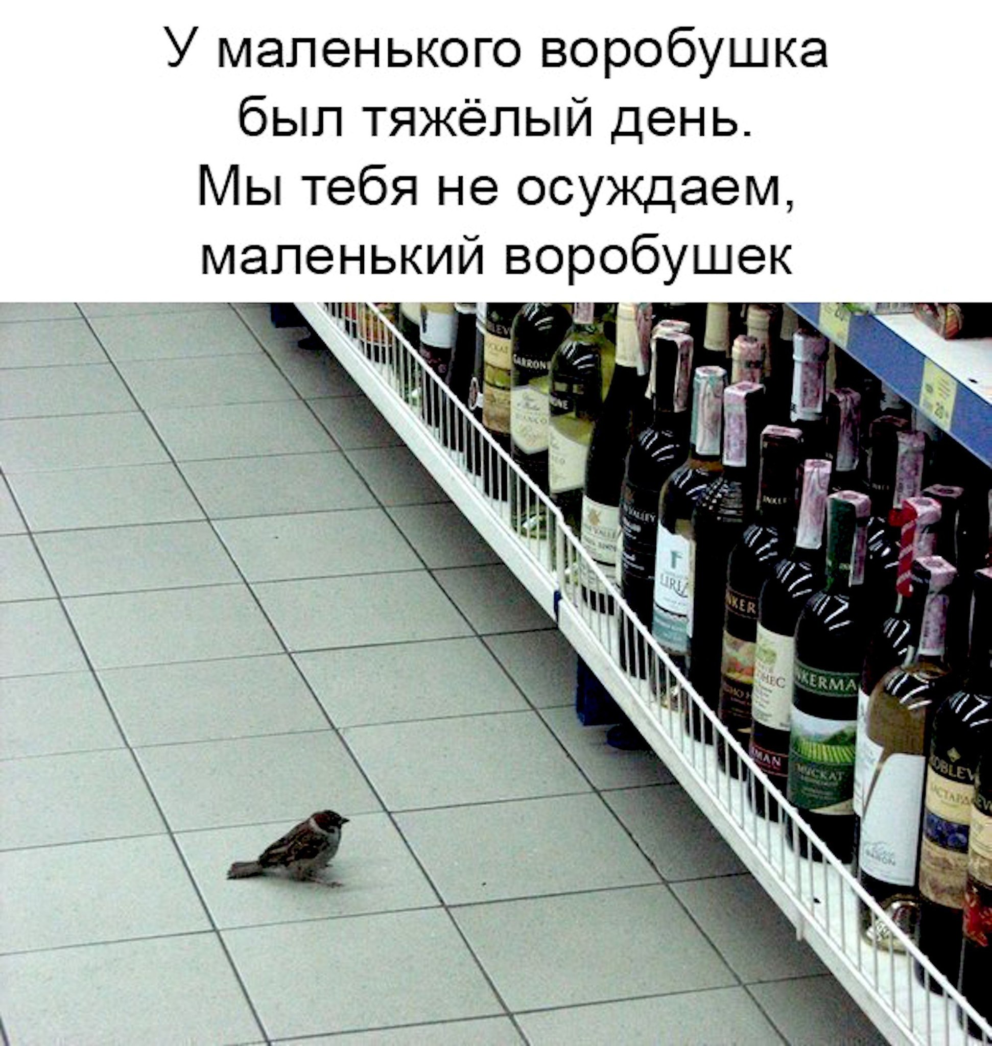 =Fox= - 6  2018  18:33