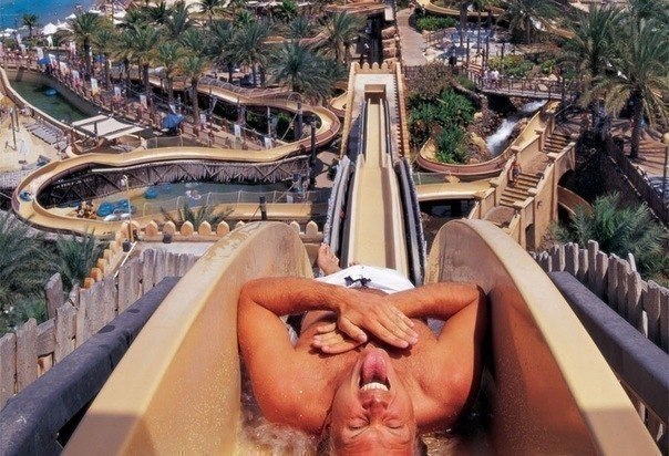      Wild Wadi,   .       ?