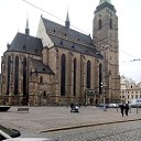 ���� Vasea, �������, 38 ��� - ��������� 10 ������ 2018