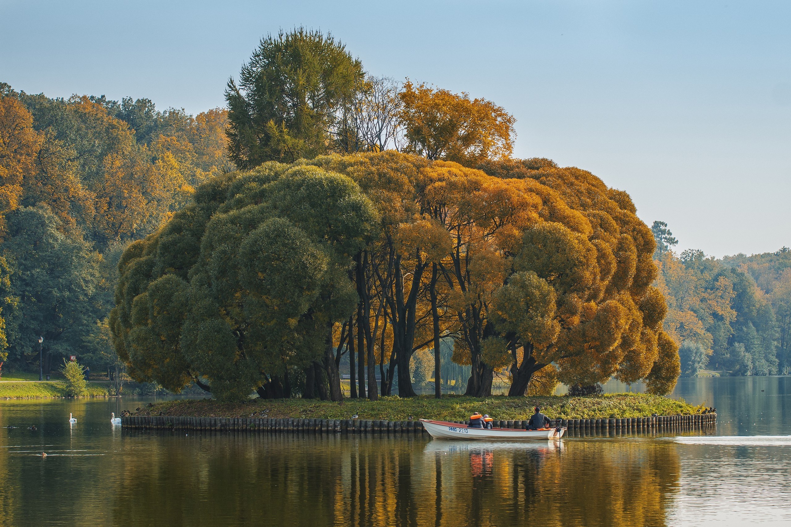  ,     :) #fall #autumn #colors #yellow #sony #alpha #citylife ... - 4