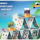 ���� �������, ����, 71 ��� - ��������� 21 ������ 2017 � ������ �������� �������-�������