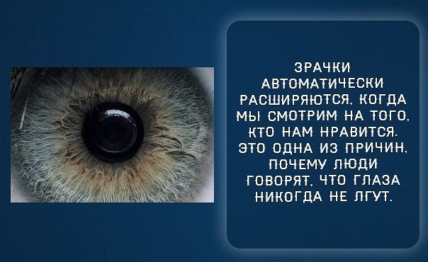   :    - 28  2018  03:43