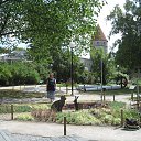  galina;(133),  -  17  2018    