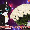 ���� �����, �����-��������� - ��������� 29 ������ 2018 � ������ ���� ����������
