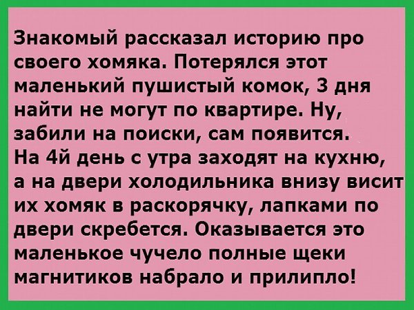☆ ☆ - 19  2018  02:51