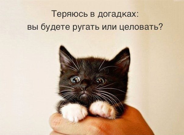, !!! !. - 15  2018  18:21