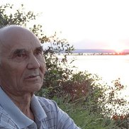 , 84 , 