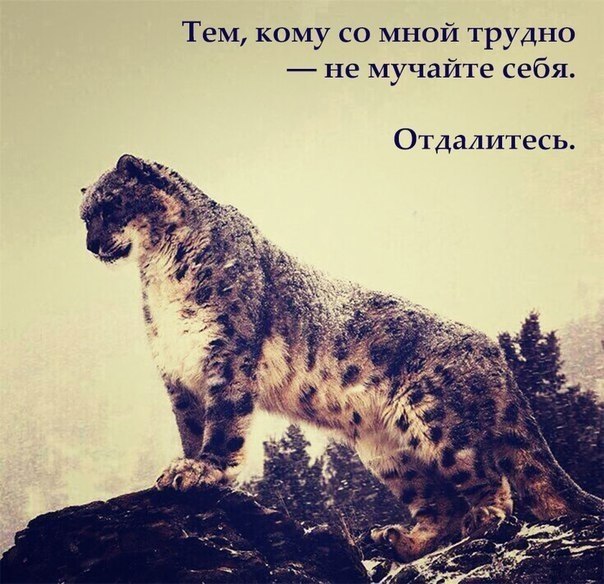  |   - 25  2018  02:40