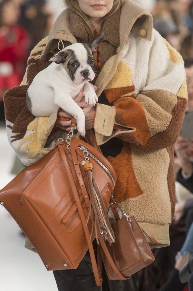   TodS Fall 2018,     . - 3