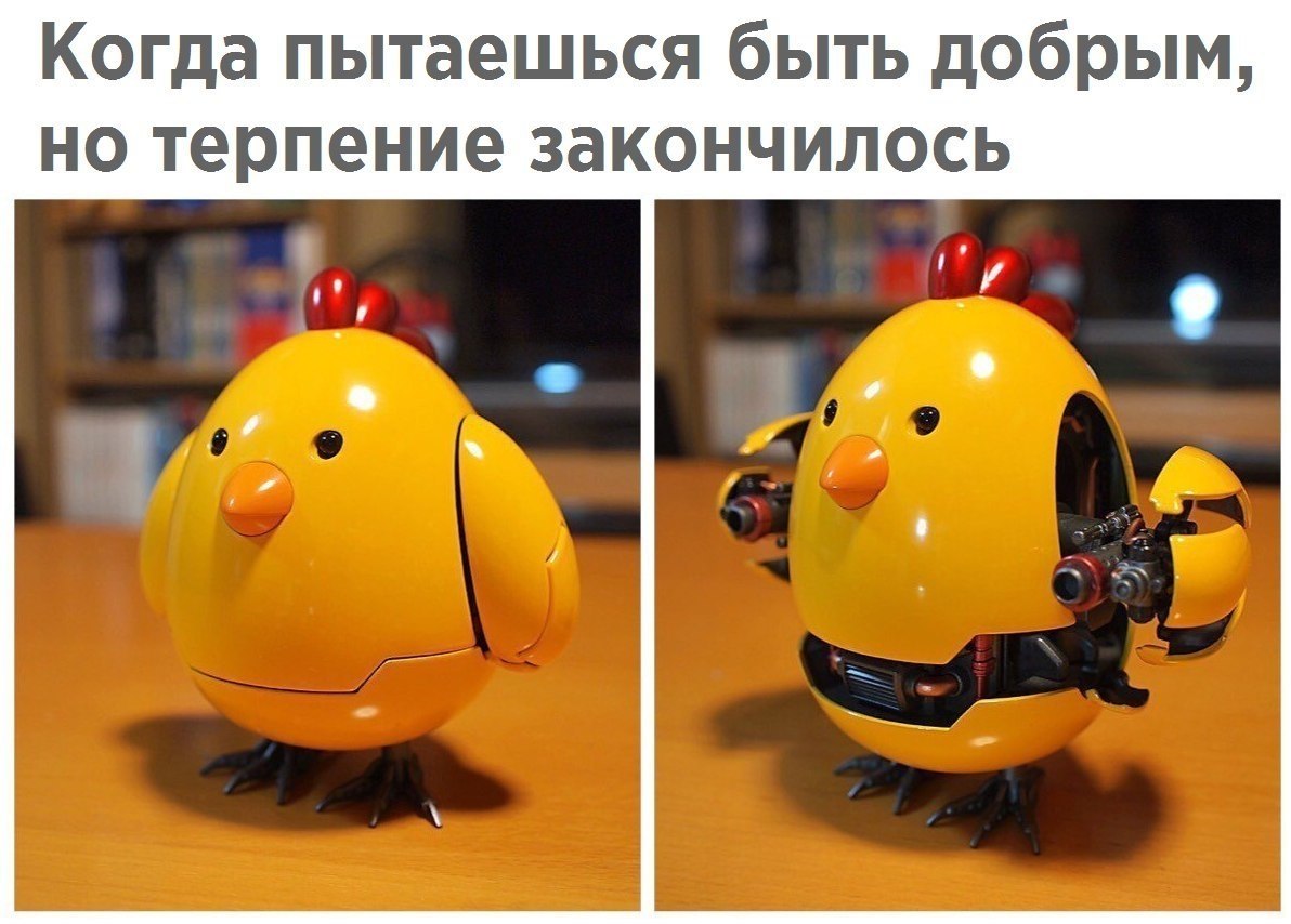  - 11  2018  02:37
