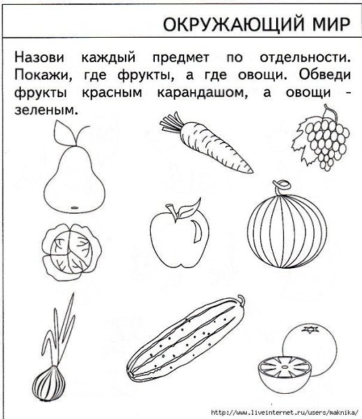 Тесты для детей 5 лет. Хорошо ли малыш знает окружающий мир?