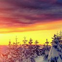 ���� �������, �����-��������� - ��������� 21 ������� 2017 � ������ ���� ����������