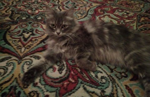 #_.  .            ... ... - 3