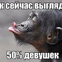 ���� �����, ������ �������� - ��������� 28 ������ 2017 � ������ �������