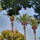 ���� Zapwer, ������� - ��������� 20 ������ 2018 � ������ ���� ����������