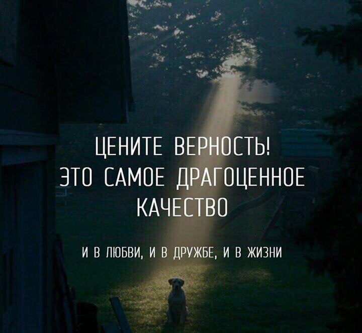  - 1  2018  03:50