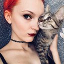 ���� �������, ���������, 28 ��� - ��������� 29 ������� 2017 � ������ ���� ����������